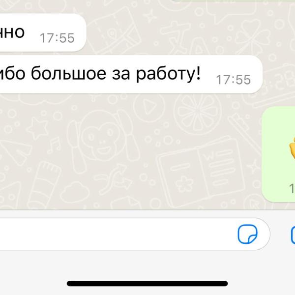 Отзыв 5 козырек