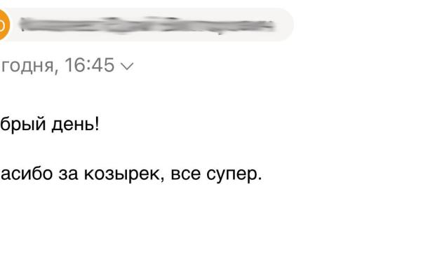Отзыв 6 козырек